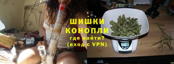 индика Куйбышев