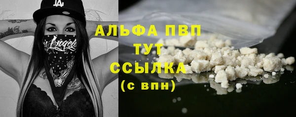 индика Куйбышев