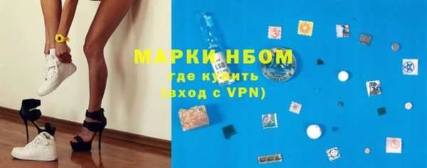 индика Куйбышев