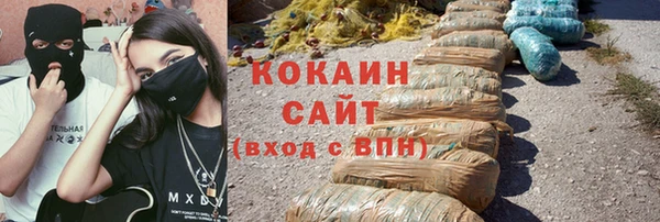 индика Куйбышев